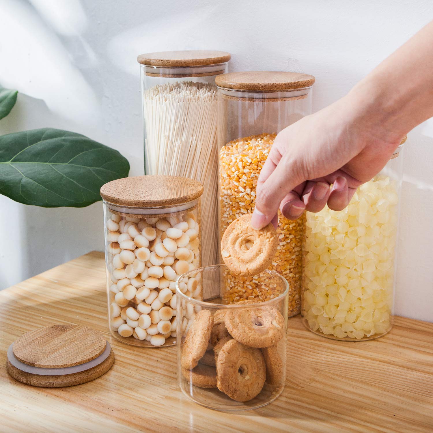 Glass Food Storage Containers, Food Jars with Bamboo Wooden Lids - Set - Allegheny Avenue